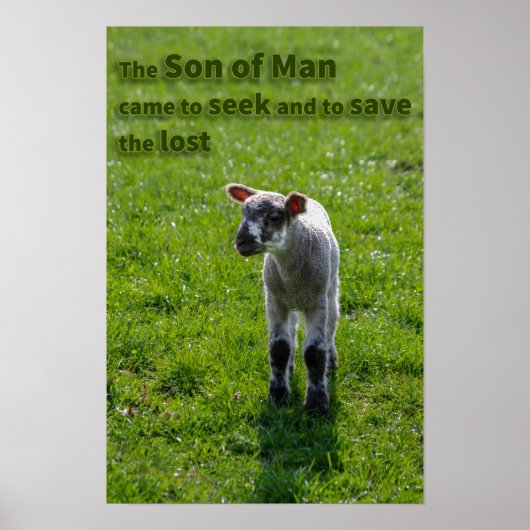 Lost lamsvlees poster (Voorkant)