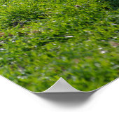 Lost lamsvlees poster (Hoek)