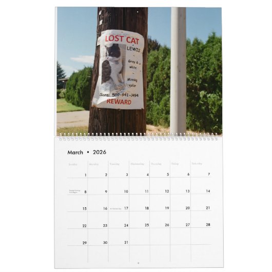 Lost Lewis Calendar Kalender (Mar 2026)