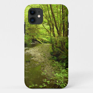Lost Man Creek I in Redwood National Park Case-Mate iPhone Case