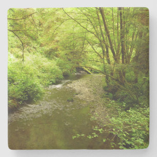 Lost Man Creek I in Redwood National Park Stenen Onderzetter