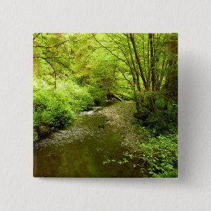 Lost Man Creek I in Redwood National Park Vierkante Button 5,1 Cm