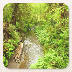 Lost Man Creek II in Redwood National Park Kartonnen Onderzetters