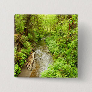 Lost Man Creek II in Redwood National Park Vierkante Button 5,1 Cm