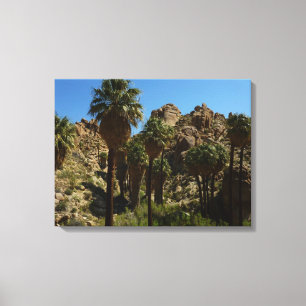 Lost Palms Oasis I in het Nationaal Park Joshua Tr Canvas Afdruk