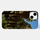 Lost Palms Oasis I in het Nationaal Park Joshua Tr Case-Mate iPhone Case (Achterkant (horizontaal))