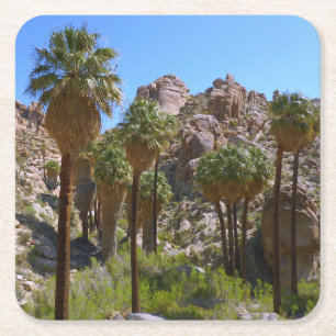 Lost Palms Oasis I in het Nationaal Park Joshua Tr Kartonnen Onderzetters