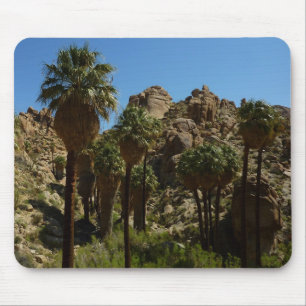 Lost Palms Oasis I in het Nationaal Park Joshua Tr Muismat