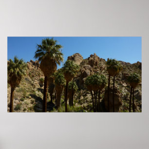 Lost Palms Oasis I in het Nationaal Park Joshua Tr Poster