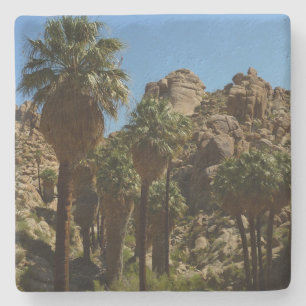 Lost Palms Oasis I in het Nationaal Park Joshua Tr Stenen Onderzetter
