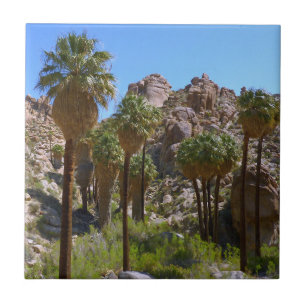 Lost Palms Oasis I in het Nationaal Park Joshua Tr Tegeltje