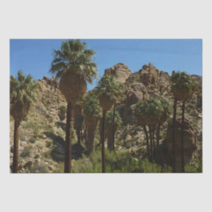 Lost Palms Oasis I in het Nationaal Park Joshua Tr Tissuepapier