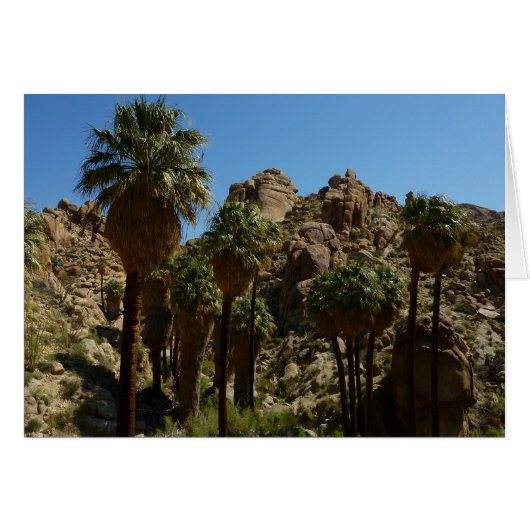 Lost Palms Oasis I in Joshua Tree National Park (Voorkant Horizontaal)