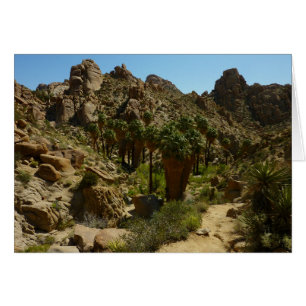 Lost Palms Oasis II in Joshua Tree National Park