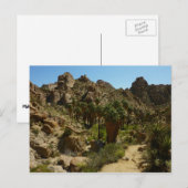Lost Palms Oasis II in Joshua Tree National Park Briefkaart (Voorkant / Achterkant)