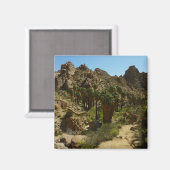 Lost Palms Oasis II in Joshua Tree National Park Magneet (Voorkant / Achterkant)