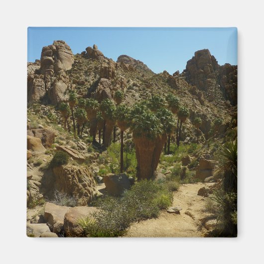 Lost Palms Oasis II in Joshua Tree National Park Magneet (Voorkant)