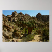 Lost Palms Oasis II in Joshua Tree National Park Poster (Voorkant)