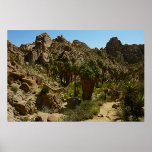 Lost Palms Oasis II in Joshua Tree National Park Poster