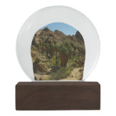 Lost Palms Oasis II in Joshua Tree National Park Sneeuwbol (Achterkant)