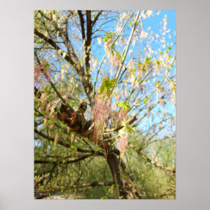Lost Places, Meadowlands natuur, Lente ontwaken Poster