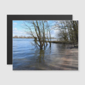 Lost Places , Trees op de oever (Voorkant / Achterkant)