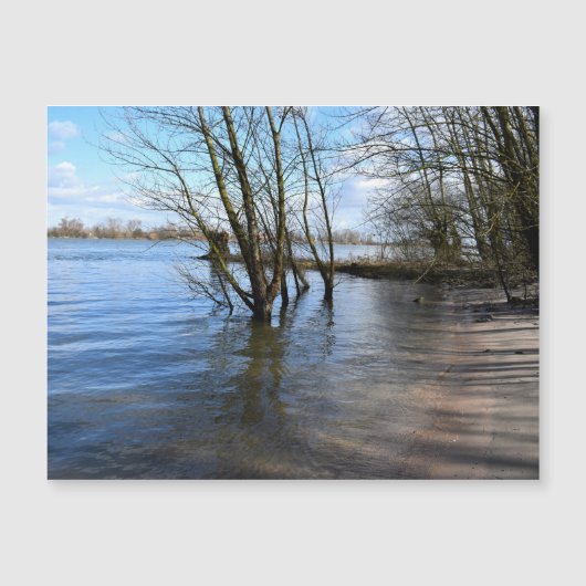 Lost Places , Trees op de oever (Voorkant)