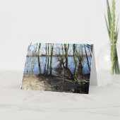 Lost Places , Trees op de oever Kaart (Voorkant)