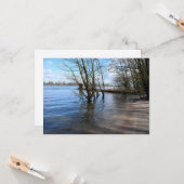 Lost Places , Trees op de oever Kaart (Voorkant / Achterkant in situ)