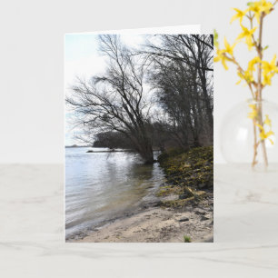 Lost Places , Trees op de oever Kaart