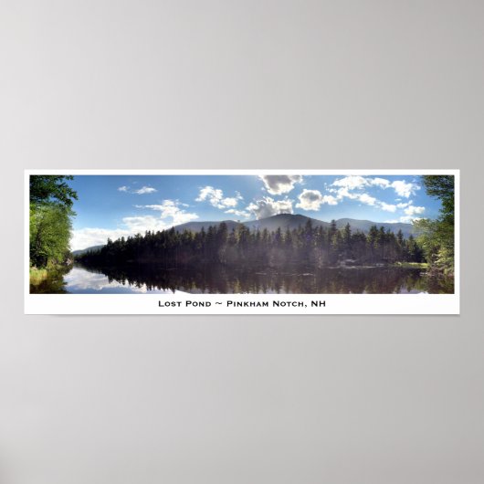 Lost Pond ~ Pinkham Notch, NH Poster (Voorkant)