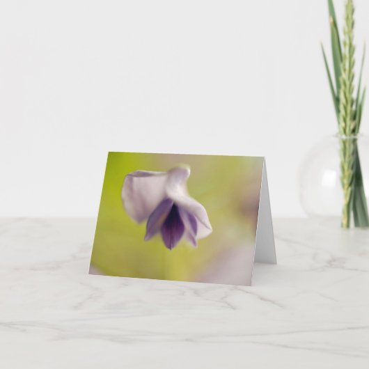 Lot drijvende ventilator blanco Kaart (Voorkant)