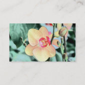 Lot gele orchidee bloem botanisch groen visitekaartje (Achterkant)