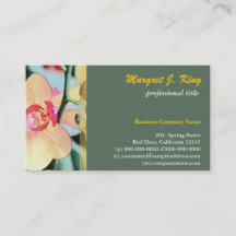 Lot gele orchidee bloem botanisch groen