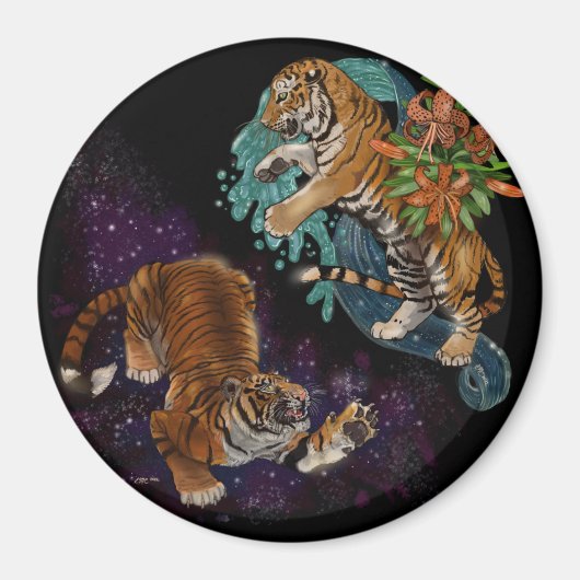 Lot in de sterren magneet (Voorkant)