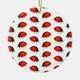 Lot Ladybugs Keramisch Ornament