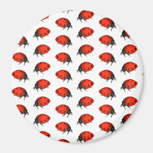 Lot Ladybugs Magneet