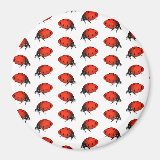 Lot Ladybugs Magneet (Voorkant)