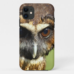 Lot van de Harmonie van de Boom van het Park van iPhone 11 Hoesje