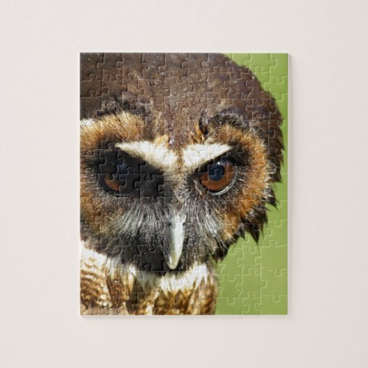 Lot van de Harmonie van de Boom van het Park van d Legpuzzel (Verticaal)