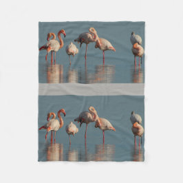 Lot van het Lot van de Jubilea van de Vogel van Fleece Deken