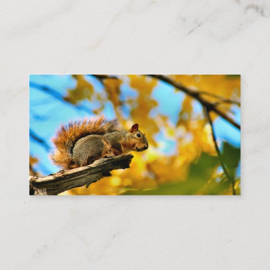 Lot Visitekaartje (Achterkant)