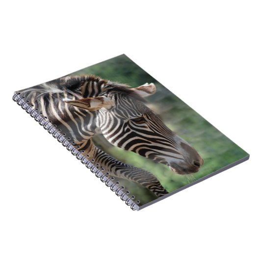 Loteerbaar Zebra Notitieboek (Rechterzijde)