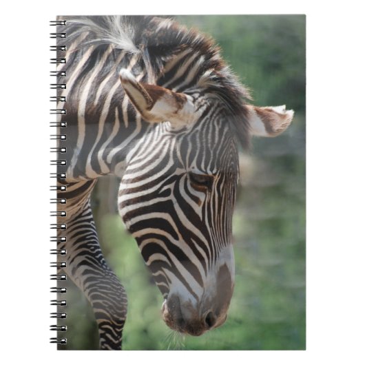 Loteerbaar Zebra Notitieboek (Voorkant)