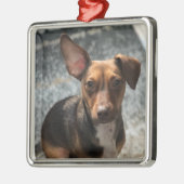 Loteerbare en schattige "Heinz-variëteit" pooch Metalen Ornament (Links)