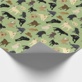 Lotsa Labs op de groene rol van sage Cadeaupapier (Hoek)