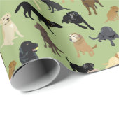 Lotsa Labs op de groene rol van sage Cadeaupapier (Rol Hoek)