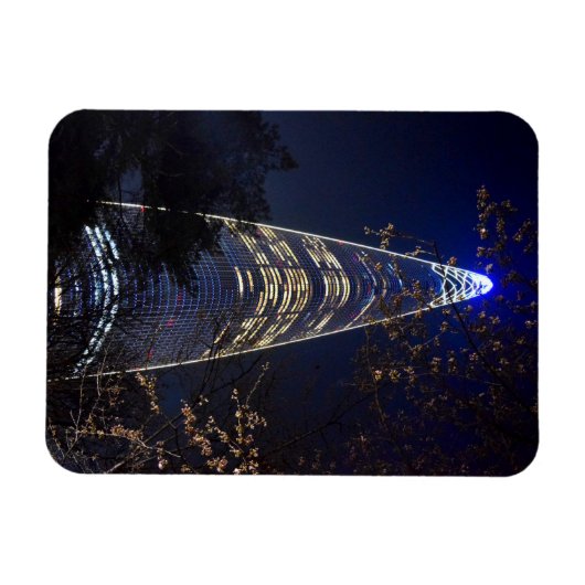 Lotte Tower in Seoul Magneet (Horizontaal)