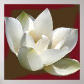 lotus1 poster (Voorkant)