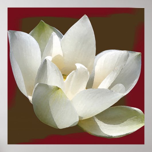 lotus1 poster (Voorkant)